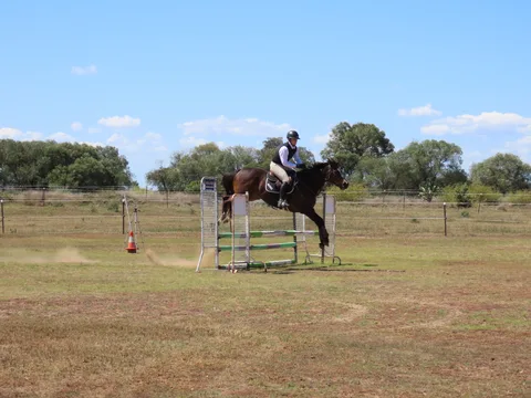IMG_0409.JPG