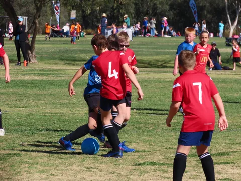 IMG_8297.JPG
