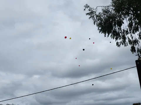 20261017_113722.jpg